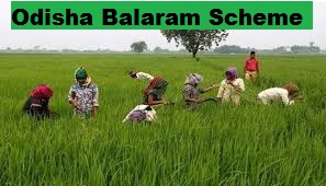 odisha balaram scheme 2022 apply online