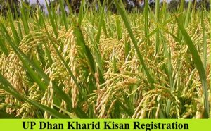 up dhan kharid registration 2022