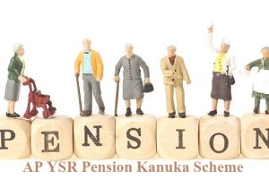 AP YSR Pension Kanuka List