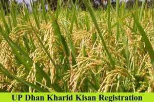 up dhan kharid registration