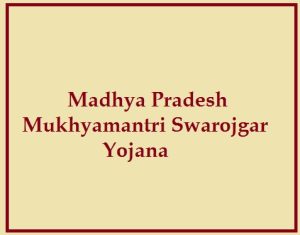 mp mukhyamantri swarojgar yojana 2024 apply online