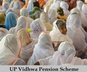 up vidhwa pension scheme 2024 apply online