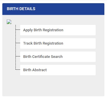 Track Birth Registration