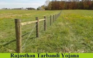 rajasthan tarbandi yojana 2023 apply online