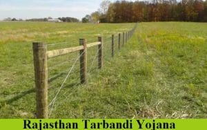 rajasthan tarbandi yojana 2024 apply online