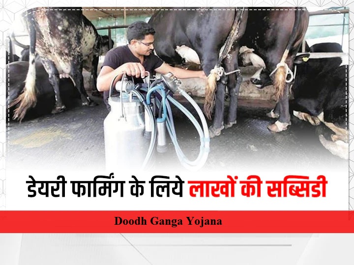 HP Doodh Ganga Yojana 2023 : Apply for Dairy Farming Loan