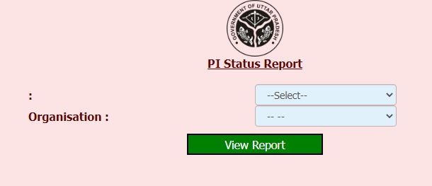 PI Status Report