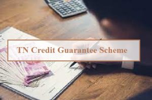 tamil nadu credit guarantee scheme 2024