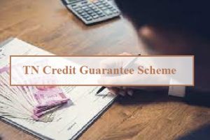 tamil nadu credit guarantee scheme