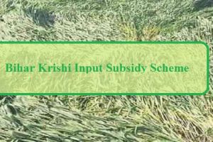 bihar krishi input subsidy scheme