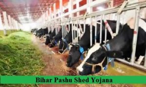 bihar pashu shed yojana 2024 application
