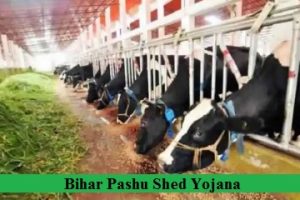 bihar pashu shed yojana application