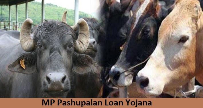 MP Pashupalan Loan Yojana 2023 Apply Online
