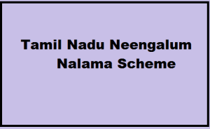 tamil nadu neengalum nalama scheme 2024